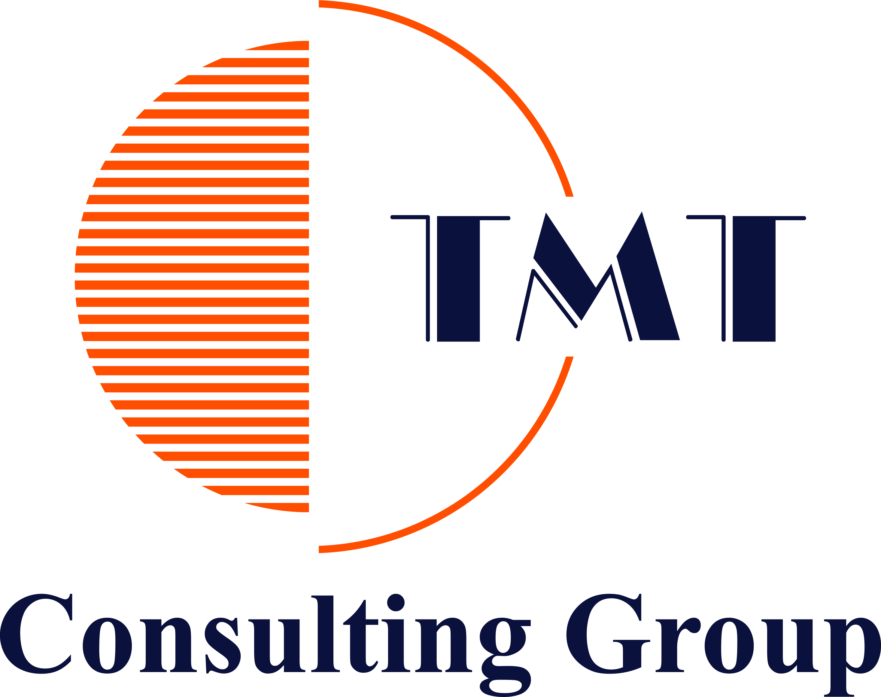 TMT Consulting Group