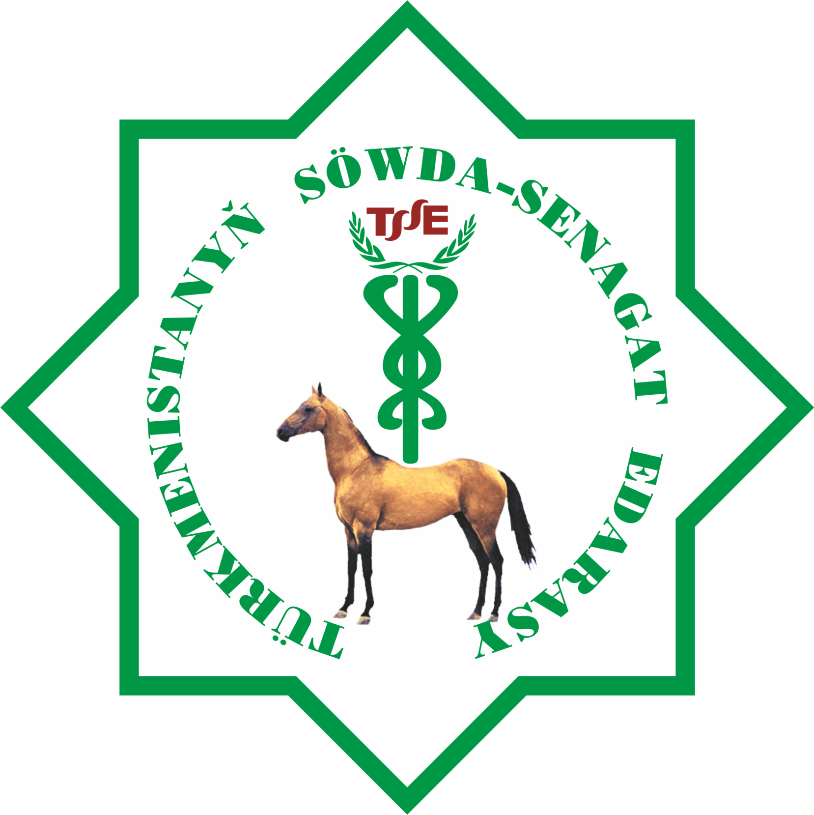 CHAMBER OF COMMERCE AND INDUSTRY OF TURKMENISTAN